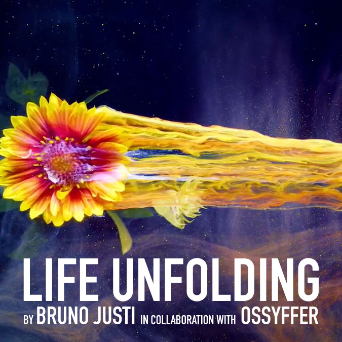 Music Cosmos \\ Life Unfolding
